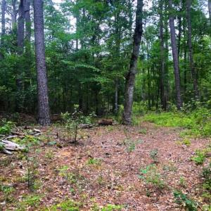 Photo of UNDER CONTRACT!!  14.2 Acres of Waterfront Residential Land For Sale in Pamlico County NC!