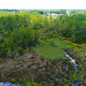 Photo of UNDER CONTRACT!!  14.2 Acres of Waterfront Residential Land For Sale in Pamlico County NC!