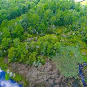 Photo of UNDER CONTRACT!!  14.2 Acres of Waterfront Residential Land For Sale in Pamlico County NC!