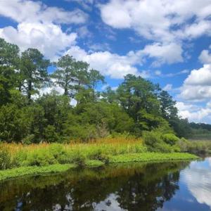 Photo of UNDER CONTRACT!!  14.2 Acres of Waterfront Residential Land For Sale in Pamlico County NC!