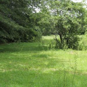 Photo of SOLD!!  22.06 Ac of Residential and Timber Land For Sale In Cumberland County NC!