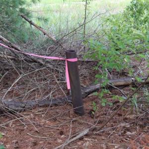 Photo of SOLD!!  22.06 Ac of Residential and Timber Land For Sale In Cumberland County NC!