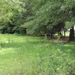 Photo of SOLD!!  22.06 Ac of Residential and Timber Land For Sale In Cumberland County NC!