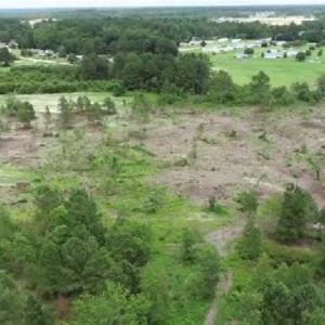 Photo of SOLD!!  22.06 Ac of Residential and Timber Land For Sale In Cumberland County NC!