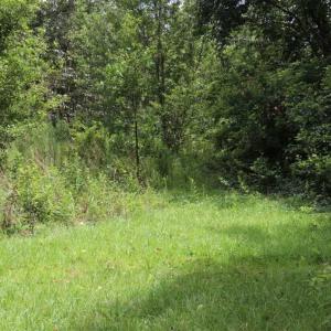 Photo of SOLD!!  22.06 Ac of Residential and Timber Land For Sale In Cumberland County NC!