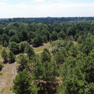 Photo of 160 Acres of Timber and Hunting Land For Sale in Hoke County NC!