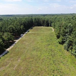 Photo of 160 Acres of Timber and Hunting Land For Sale in Hoke County NC!