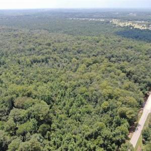 Photo of SOLD!!  162 Acres of Timber and Hunting Land For Sale in Dillion County SC!