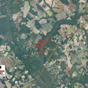 Photo of SOLD!!  162 Acres of Timber and Hunting Land For Sale in Dillion County SC!
