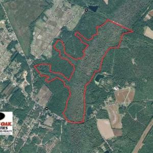 Photo of SOLD!!  162 Acres of Timber and Hunting Land For Sale in Dillion County SC!