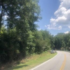 Photo of SOLD!!  162 Acres of Timber and Hunting Land For Sale in Dillion County SC!