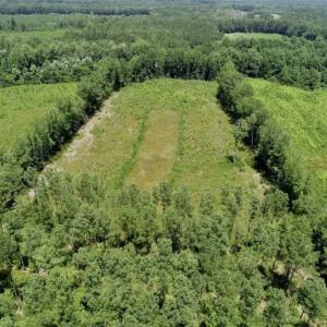 Photo of SOLD!!  Hunting Cabin with 10 Acres For Sale in Martin County NC!