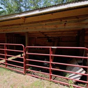 Photo of SOLD!!  Hunting Cabin with 10 Acres For Sale in Martin County NC!