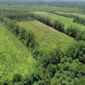 Photo of SOLD!!  Hunting Cabin with 10 Acres For Sale in Martin County NC!