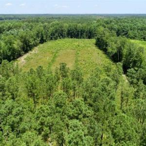 Photo of SOLD!!  Hunting Cabin with 10 Acres For Sale in Martin County NC!