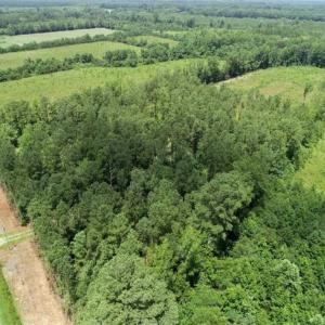 Photo of SOLD!!  Hunting Cabin with 10 Acres For Sale in Martin County NC!