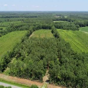Photo of SOLD!!  Hunting Cabin with 10 Acres For Sale in Martin County NC!