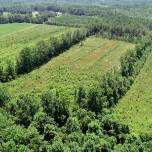 Photo of SOLD!!  Hunting Cabin with 10 Acres For Sale in Martin County NC!