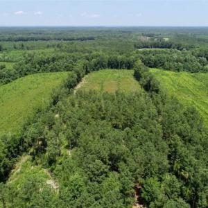 Photo of SOLD!!  Hunting Cabin with 10 Acres For Sale in Martin County NC!