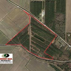 Photo of SOLD!!  57 Acres of Farm Land and Lodge For Sale in Hyde County NC!