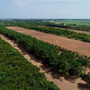Photo of SOLD!!  57 Acres of Farm Land and Lodge For Sale in Hyde County NC!