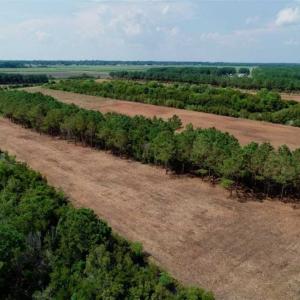Photo of SOLD!!  57 Acres of Farm Land and Lodge For Sale in Hyde County NC!