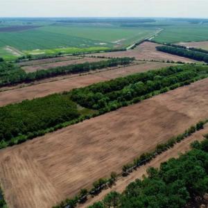 Photo of SOLD!!  57 Acres of Farm Land and Lodge For Sale in Hyde County NC!