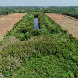 Photo of SOLD!!  57 Acres of Farm Land and Lodge For Sale in Hyde County NC!