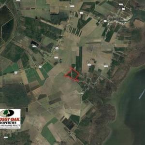 Photo of SOLD!!  57 Acres of Farm Land and Lodge For Sale in Hyde County NC!