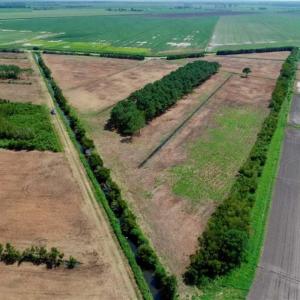 Photo of SOLD!!  57 Acres of Farm Land and Lodge For Sale in Hyde County NC!
