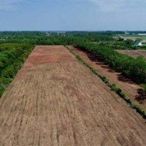 Photo of SOLD!!  57 Acres of Farm Land and Lodge For Sale in Hyde County NC!
