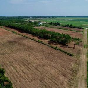 Photo of SOLD!!  57 Acres of Farm Land and Lodge For Sale in Hyde County NC!