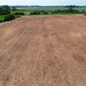 Photo of SOLD!!  57 Acres of Farm Land and Lodge For Sale in Hyde County NC!