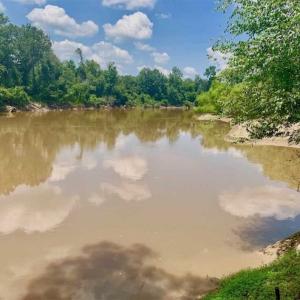 Photo of SOLD!!  13.38 Acres of Riverfront Timber and Hunting Land For Sale in Wayne County NC!