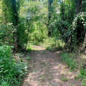 Photo of SOLD!!  13.38 Acres of Riverfront Timber and Hunting Land For Sale in Wayne County NC!