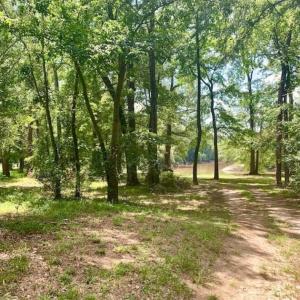 Photo of SOLD!!  13.38 Acres of Riverfront Timber and Hunting Land For Sale in Wayne County NC!