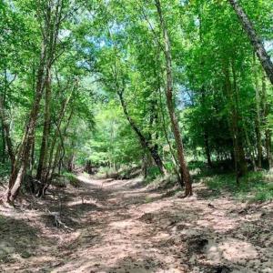 Photo of SOLD!!  13.38 Acres of Riverfront Timber and Hunting Land For Sale in Wayne County NC!