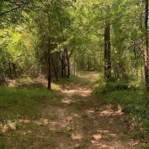 Photo of SOLD!!  13.38 Acres of Riverfront Timber and Hunting Land For Sale in Wayne County NC!