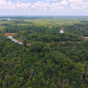 Photo of SOLD!!  13.38 Acres of Riverfront Timber and Hunting Land For Sale in Wayne County NC!