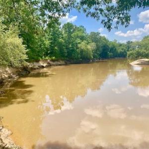 Photo of SOLD!!  13.38 Acres of Riverfront Timber and Hunting Land For Sale in Wayne County NC!