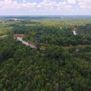 Photo of SOLD!!  13.38 Acres of Riverfront Timber and Hunting Land For Sale in Wayne County NC!