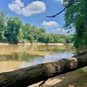 Photo of SOLD!!  13.38 Acres of Riverfront Timber and Hunting Land For Sale in Wayne County NC!