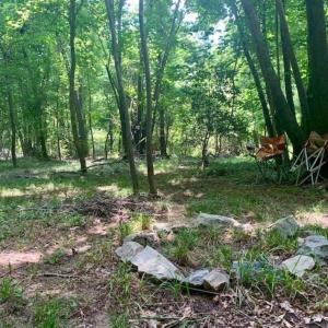 Photo of SOLD!!  13.38 Acres of Riverfront Timber and Hunting Land For Sale in Wayne County NC!