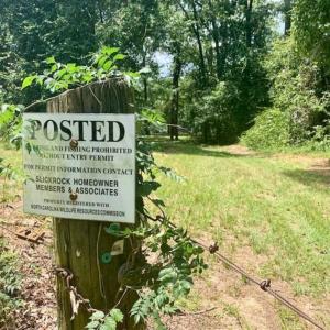 Photo of SOLD!!  13.38 Acres of Riverfront Timber and Hunting Land For Sale in Wayne County NC!