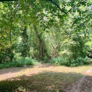 Photo of SOLD!!  13.38 Acres of Riverfront Timber and Hunting Land For Sale in Wayne County NC!