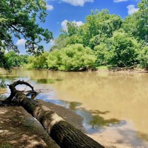 Photo of SOLD!!  13.38 Acres of Riverfront Timber and Hunting Land For Sale in Wayne County NC!