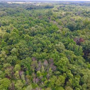 Photo of SOLD!!  13.38 Acres of Riverfront Timber and Hunting Land For Sale in Wayne County NC!