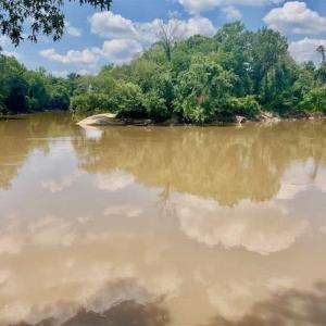Photo of SOLD!!  13.38 Acres of Riverfront Timber and Hunting Land For Sale in Wayne County NC!