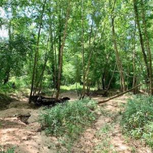 Photo of SOLD!!  13.38 Acres of Riverfront Timber and Hunting Land For Sale in Wayne County NC!