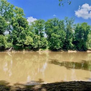 Photo of SOLD!!  13.38 Acres of Riverfront Timber and Hunting Land For Sale in Wayne County NC!